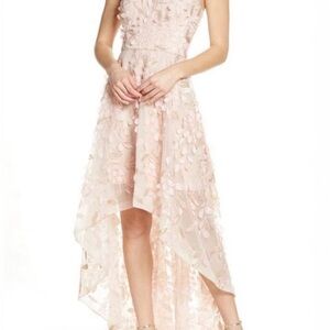 Xscape: Blush Pink High-Low Floral Appliqué Dress